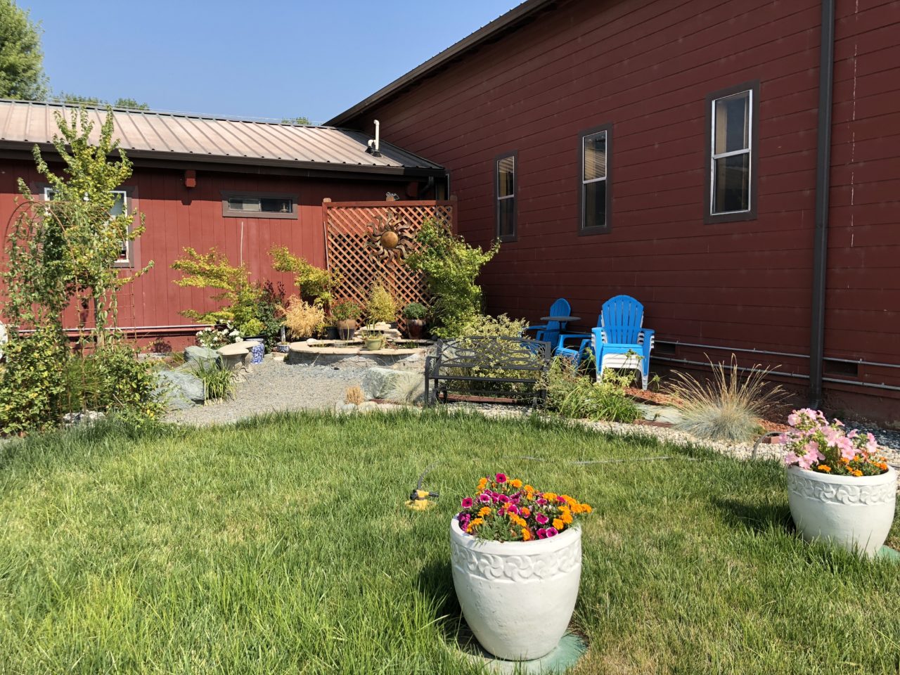 Backyard Garden